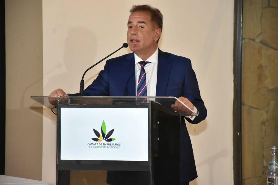 Proyecto cannabis Mendoza a gran esca